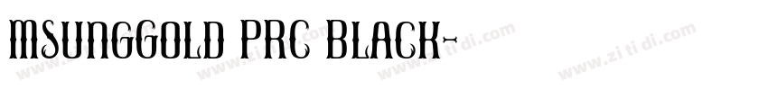 MSungGold PRC Black字体转换